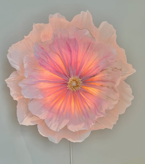 Tændt væglampe formet som en stor, sart lyserød blomst med transparente kronblade, der spreder varmt lys. (1)