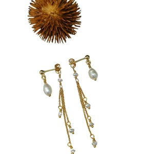 Hvid rose  – produktbillede