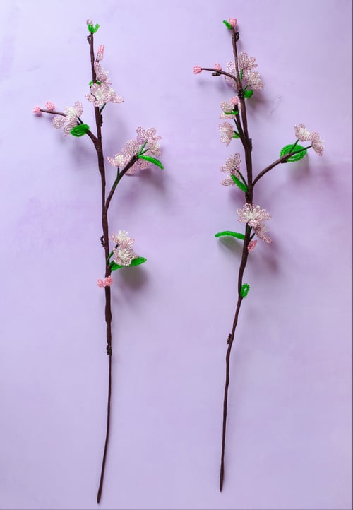 Kirsebærblomst gren (2)