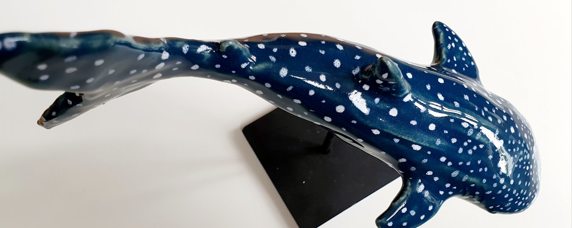 Model af en hvalhaj med blå krop og hvide prikker, vist fra oven på en sort stander.