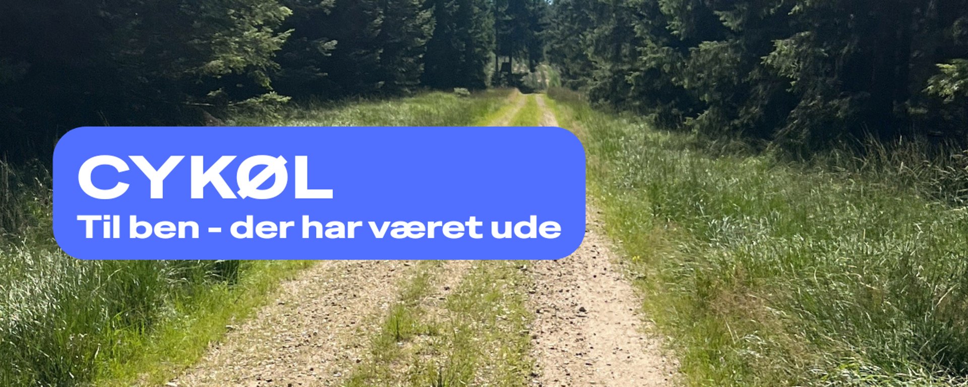 Grusvej i skov omgivet af højt grønt græs og træer med tekstboksen "CYKØL Til ben - der har været ude" i blå.