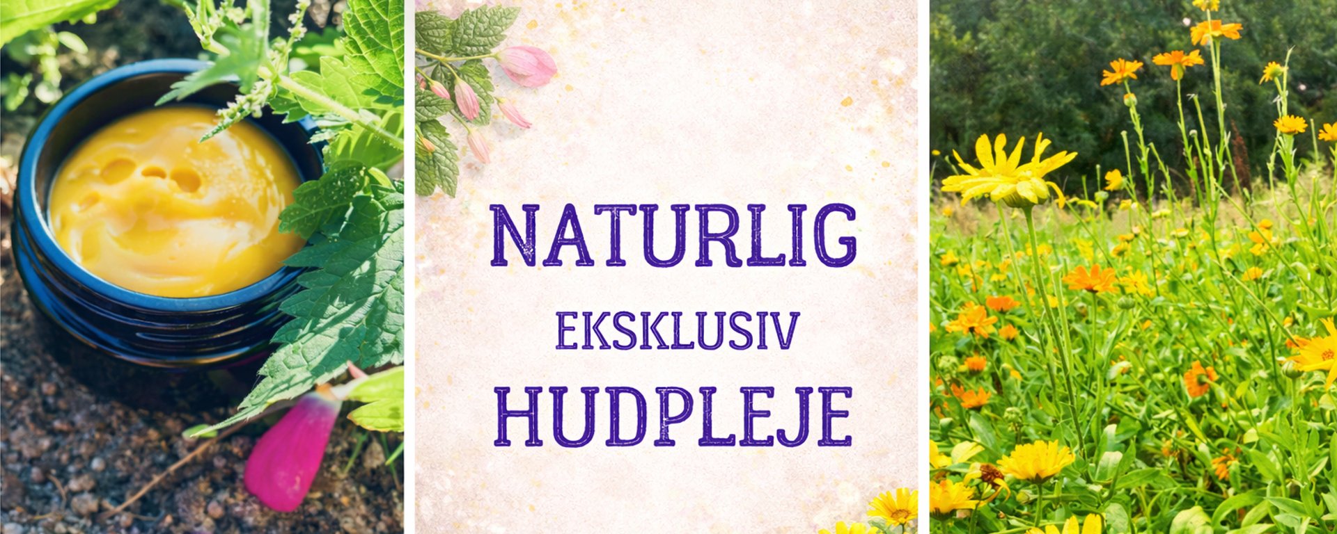 Aurt botanical skincare store