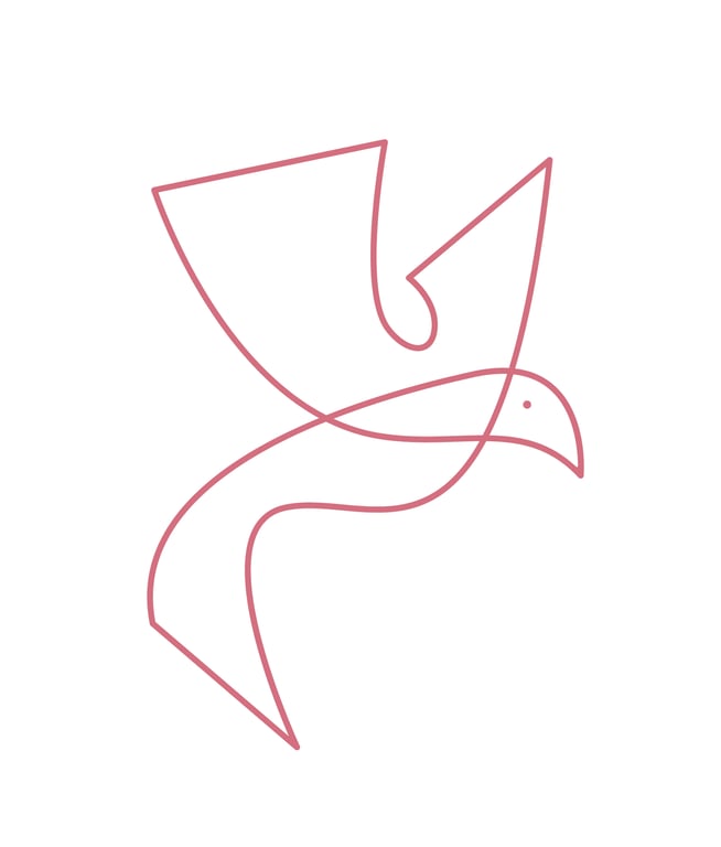 FALK Bornholms webshop