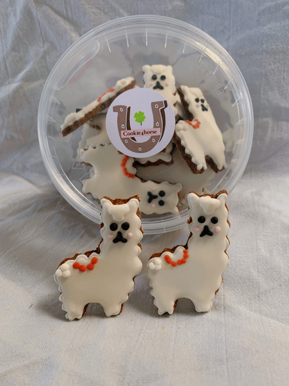 Alpaca cookies