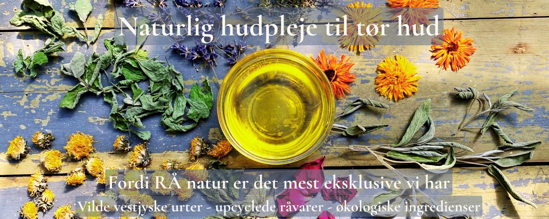Velkommen