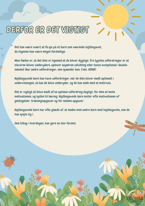 Højt begavede elever (2)