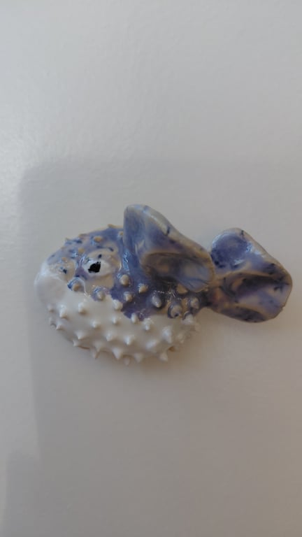 mini kuglefisk 