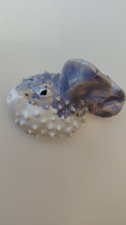 mini kuglefisk  billede 2