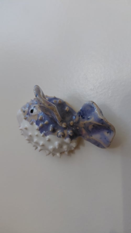 mini kuglefisk  (4)