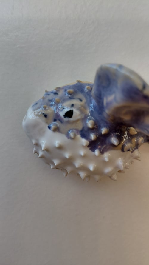 mini kuglefisk  (5)
