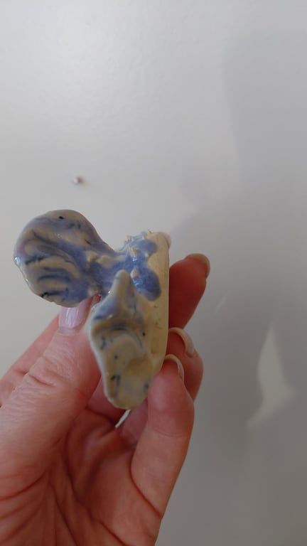 mini kuglefisk  billede 5