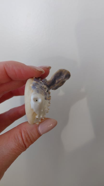 mini kuglefisk  billede 6