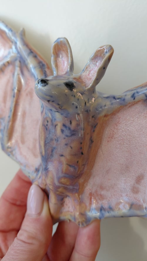 væghængt flagermus  (3)