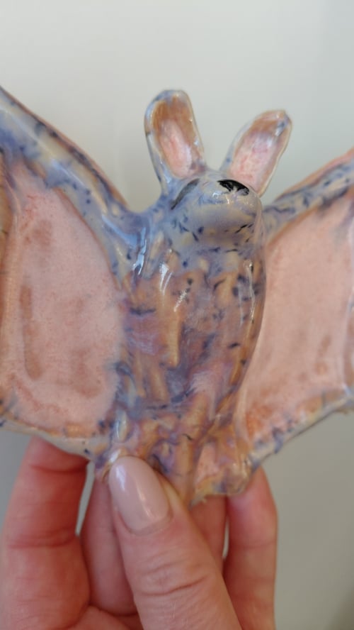 væghængt flagermus  (4)