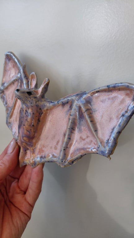 væghængt flagermus  billede 5