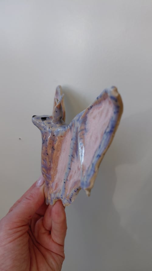 væghængt flagermus  (6)