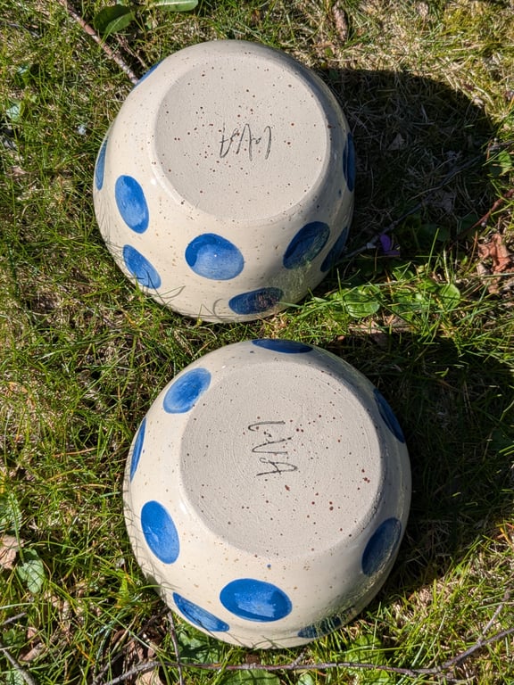 Skål blå bomber billede 2