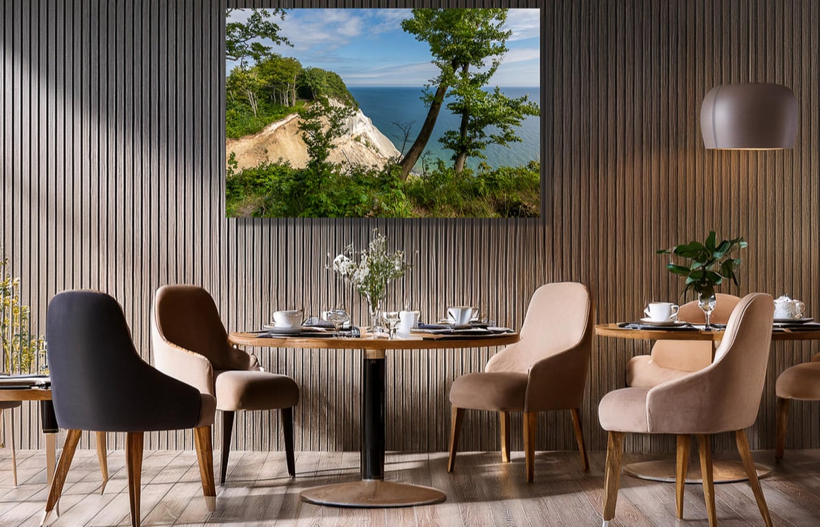 Udsigt over Møns klint og Østersøen en smuk sommerdag  billede 3