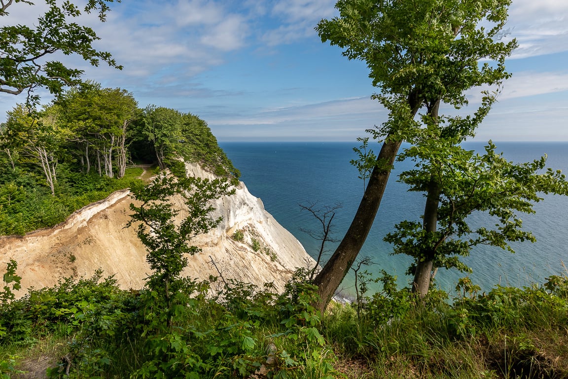 Udsigt over Møns klint og Østersøen en smuk sommerdag