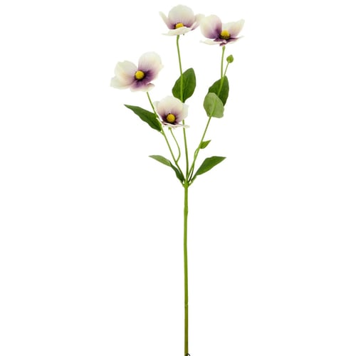 Anemone lys lilla