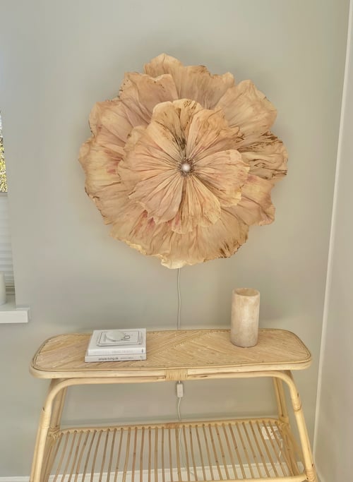 Ambre (3)