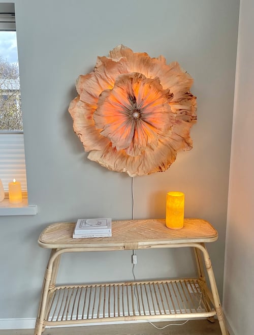 Ambre (2)