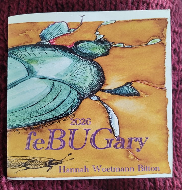 feBUGary  (zine)
