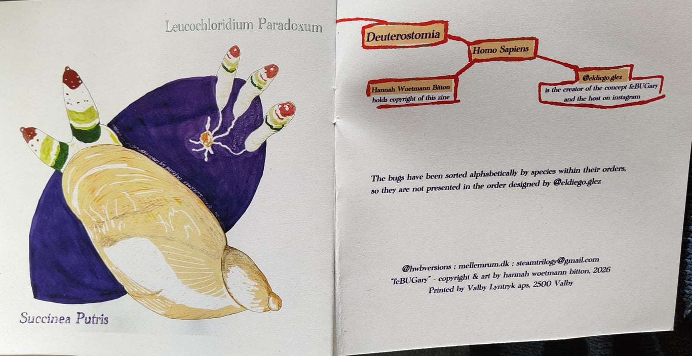 feBUGary  (zine) billede 3