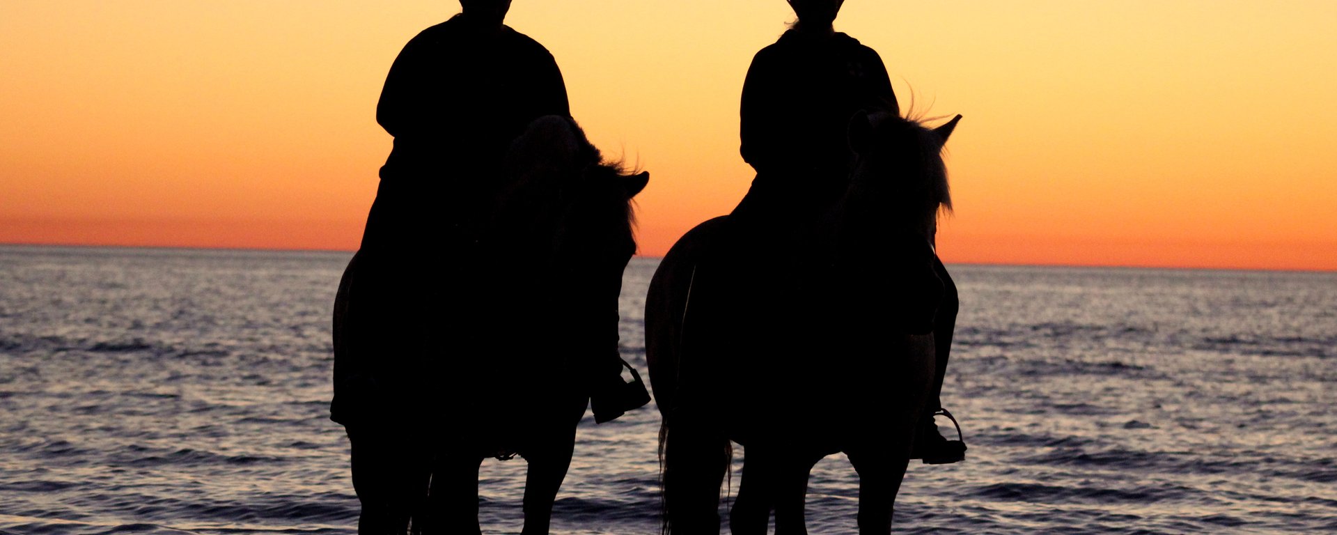 Nærbillede af en person med ridehjelm, der smiler, mens en hest rører ved personens kind med sin mule.