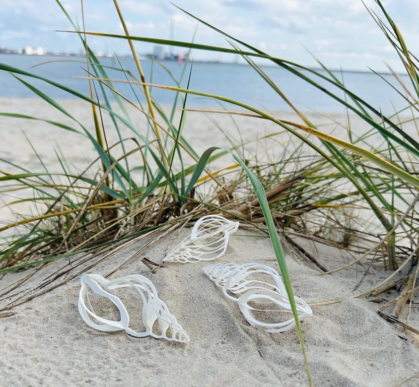 KONKYLIE RØDKONK billede 2