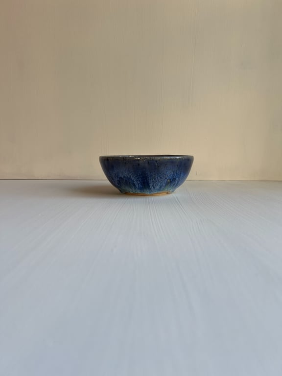 Morgenmadsskål