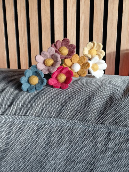 G&S Anemone sennepsgul (2)