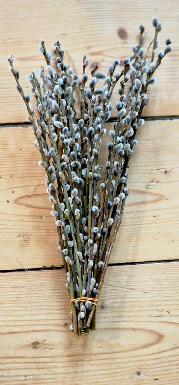 Gæslinge grene ca 35 cm