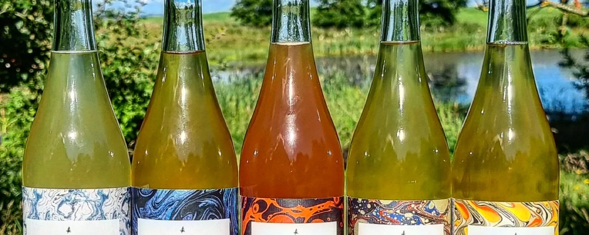 Langt, turkis og hvidt surfbræt liggende på en øde sandstrand med hav og bjerge i baggrunden under en klar himmel.