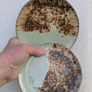 Kagetallerken pebermynte/brunnistret  – produktbillede