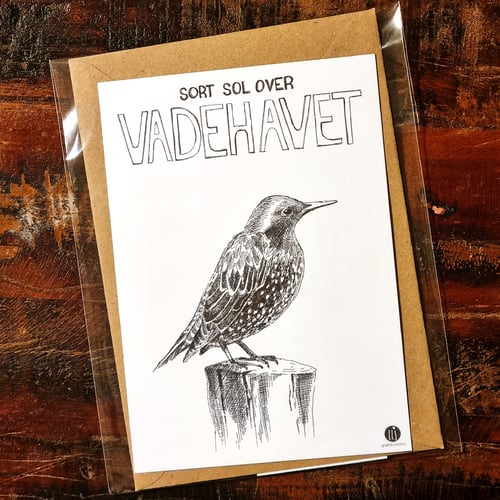 Sort sol - kort (2)