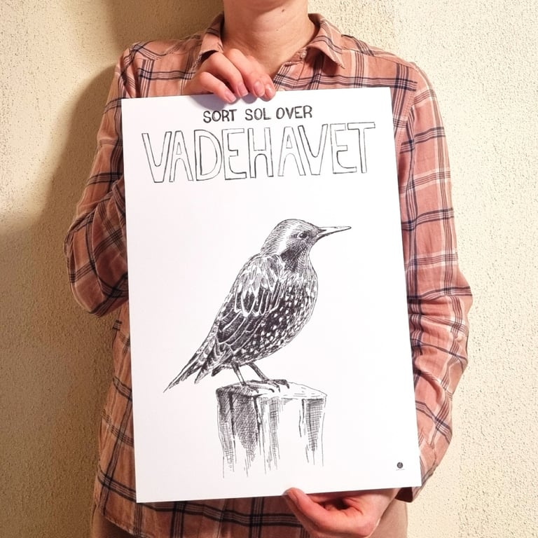 Sort sol - plakat billede 3