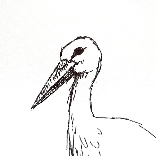 Stork - plakat (4)