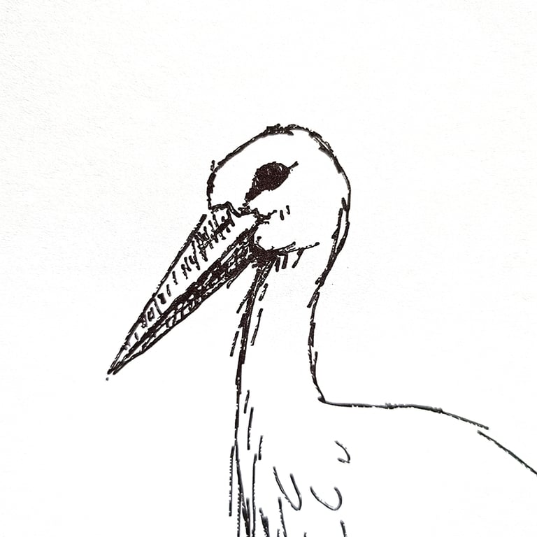 Stork - plakat billede 4