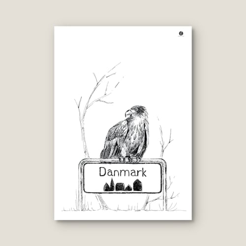Ørn - plakat (2)