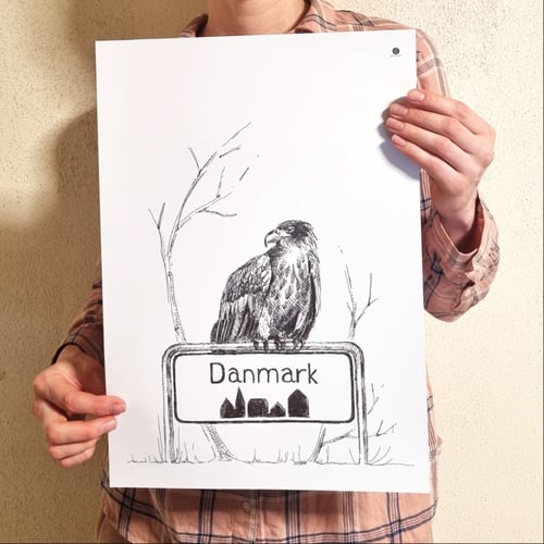 Ørn - plakat (3)