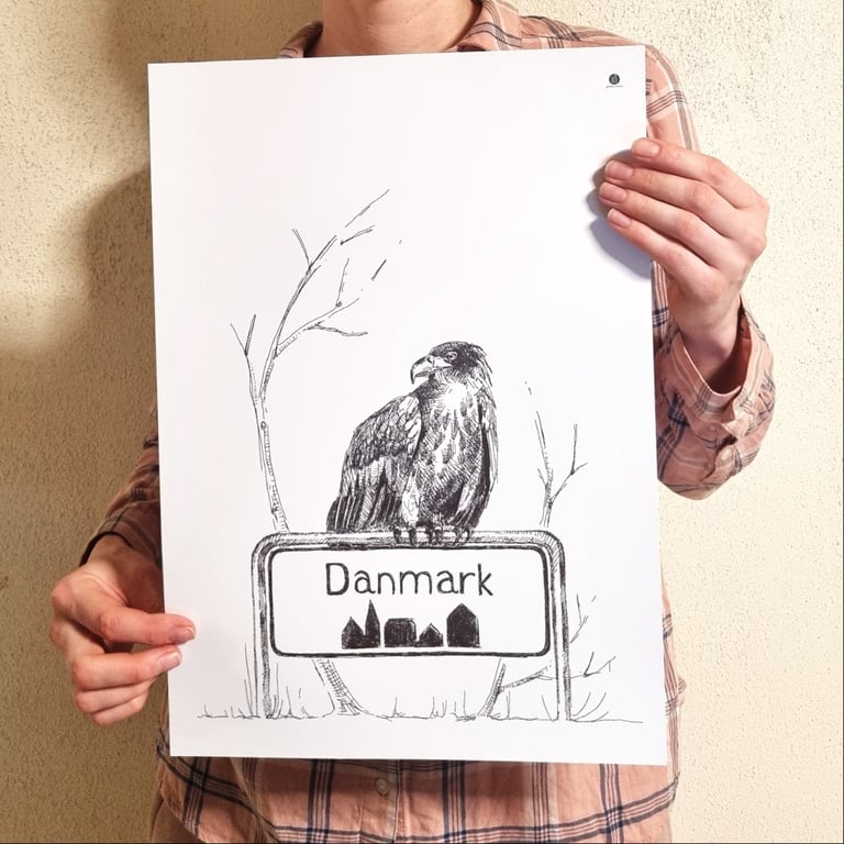 Ørn - plakat billede 3