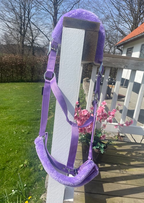 Lilla hestetrense hængende på hvidt gelænder med blomster og terrasse i baggrunden. (1)