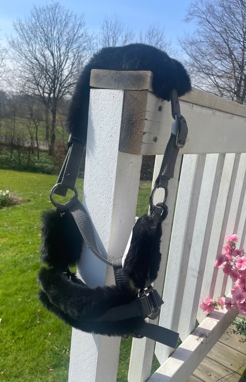 Sort blødt polstret hundesele hænger over en hvid trægelænder på en veranda med græs og træer i baggrunden. (1)