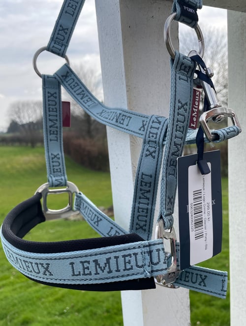 Lemieux/ Logo grime - Glacier (2)