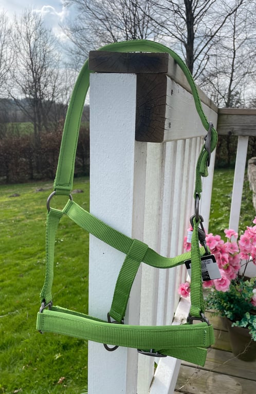 Grøn hestegrime hængende på et hvidt gelænder med græsplæne og blomster i baggrunden.
