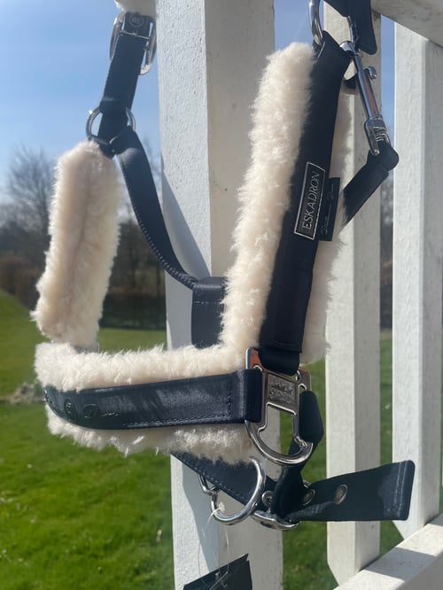 Eskadron/ Mattgloss Evo-wool (2)