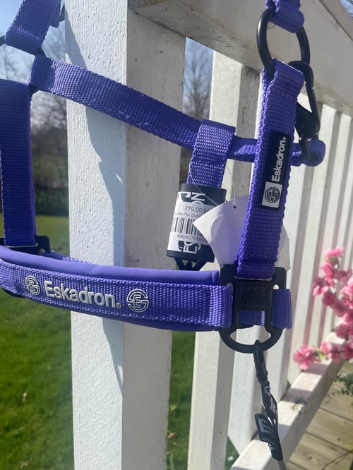 Eskadron/ Dynamic Mini (4)
