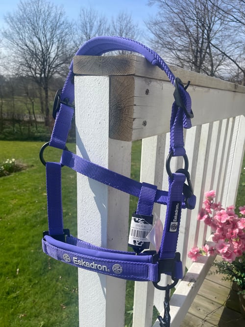 Eskadron/ Dynamic Mini (3)