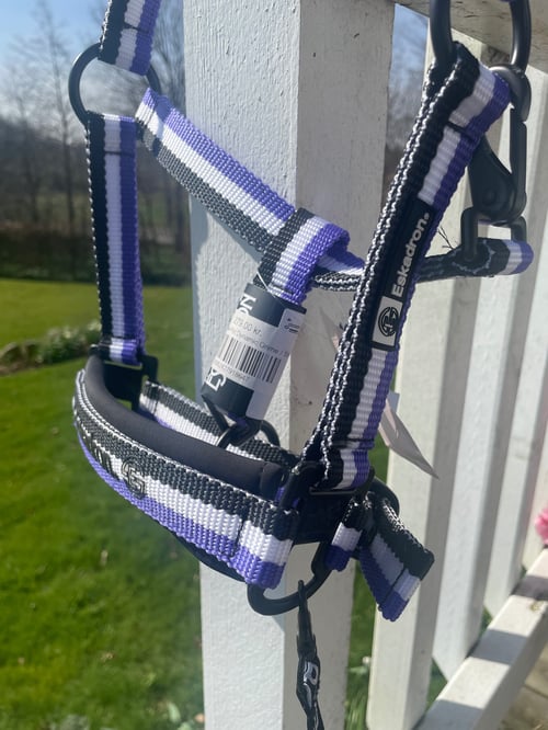 Eskadron/ Dynamic Mini (2)
